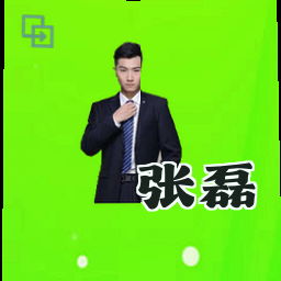 张磊